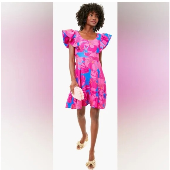 Tuckernuck x Cameron Eubanks Wimberly Wild Azalea Edisto Dress NWT - Picture 3 of 7